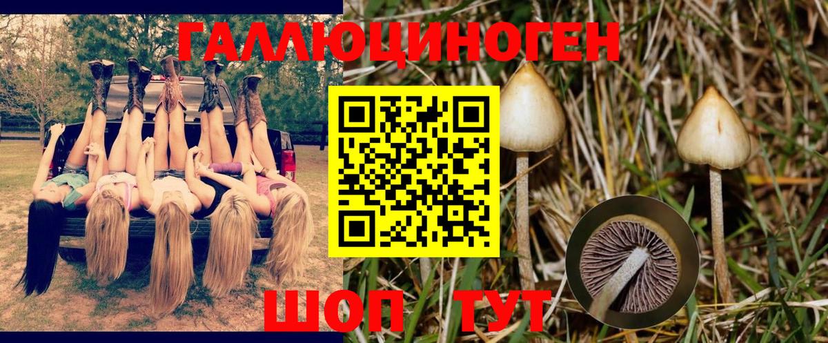 Галлюциногенные грибы MAGIC MUSHROOMS  цена   Полысаево  Вход с VPN 